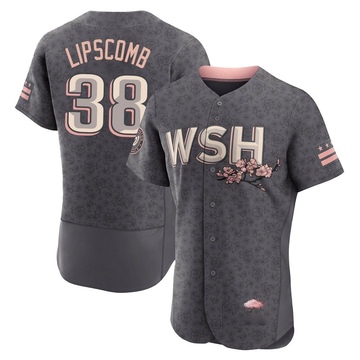 Trey Lipscomb Men's Authentic Washington Nationals Gray 2022 City Connect Jersey