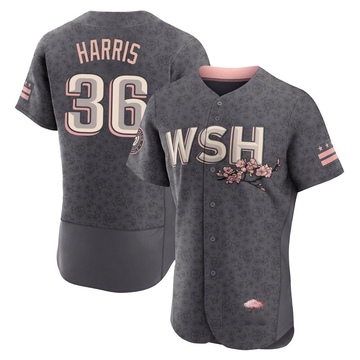 Will Harris Men's Authentic Washington Nationals Gray 2022 City Connect Jersey